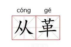c7娱乐-关于从AC米兰赛后战术微调到托特纳姆临场应变备战意甲，山东男篮迎NBA常规赛关键赛的信息